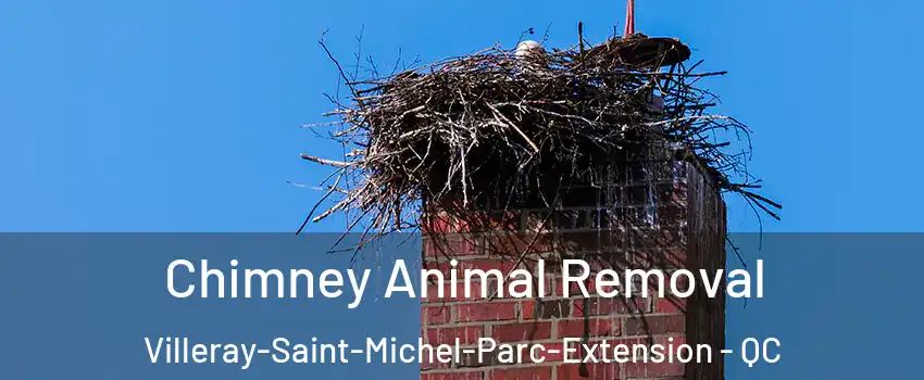 Chimney Animal Removal Villeray-Saint-Michel-Parc-Extension - QC