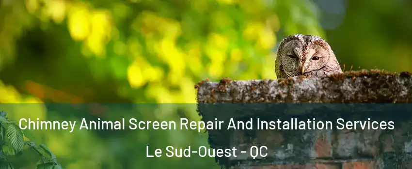 Chimney Animal Screen Repair And Installation Services Le Sud-Ouest - QC