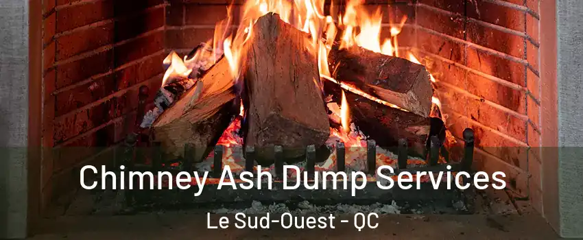 Chimney Ash Dump Services Le Sud-Ouest - QC