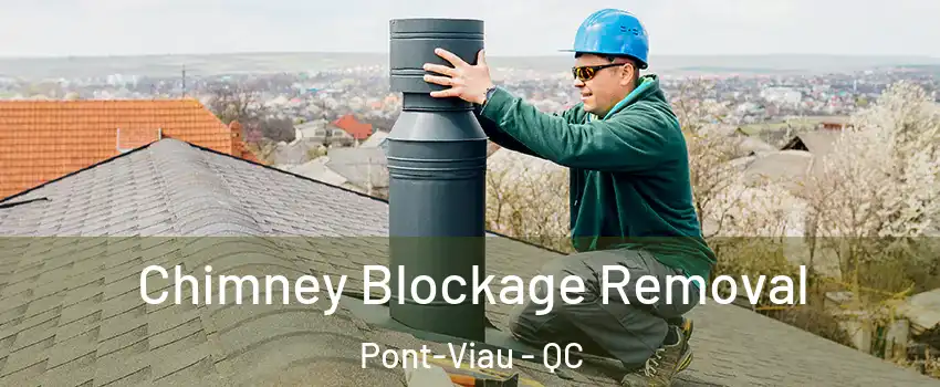 Chimney Blockage Removal Pont-Viau - QC