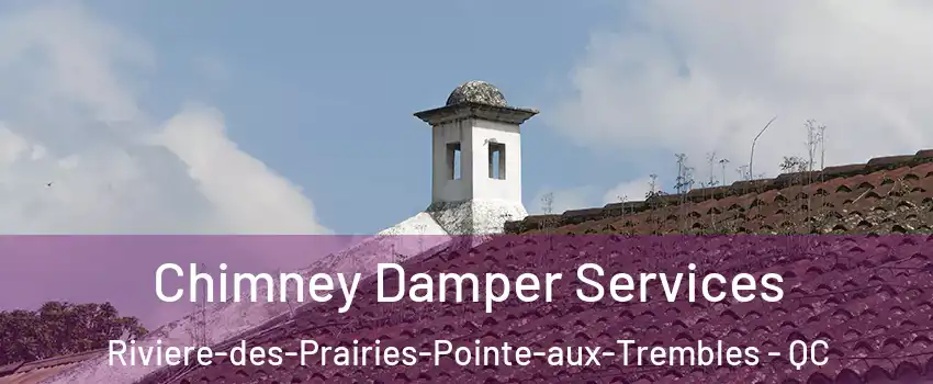 Chimney Damper Services Riviere-des-Prairies-Pointe-aux-Trembles - QC