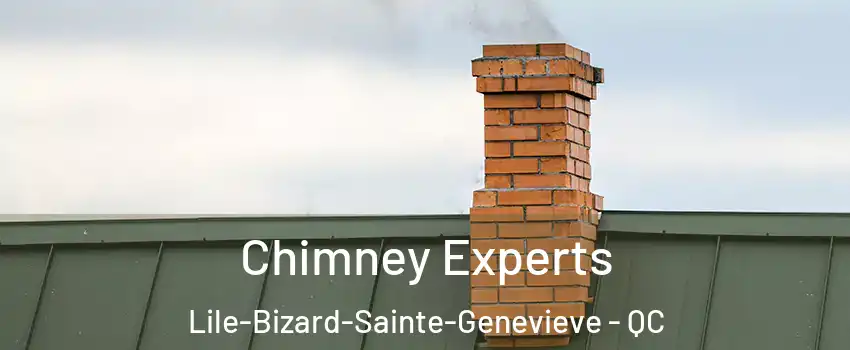 Chimney Experts Lile-Bizard-Sainte-Genevieve - QC