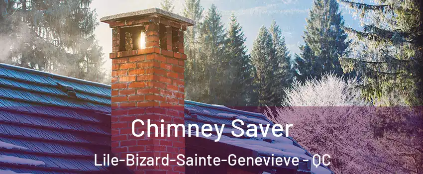Chimney Saver Lile-Bizard-Sainte-Genevieve - QC