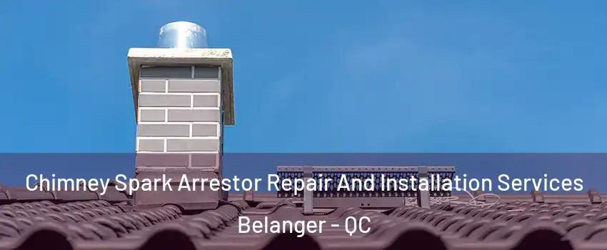 Chimney Spark Arrestor Repair And Installation Services Belanger - QC