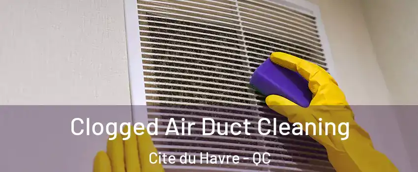 Clogged Air Duct Cleaning Cite du Havre - QC
