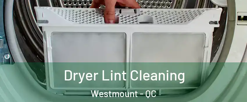 Dryer Lint Cleaning Westmount - QC