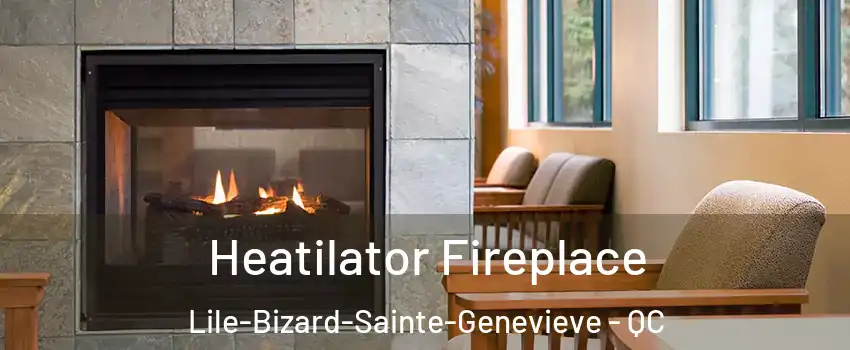 Heatilator Fireplace Lile-Bizard-Sainte-Genevieve - QC