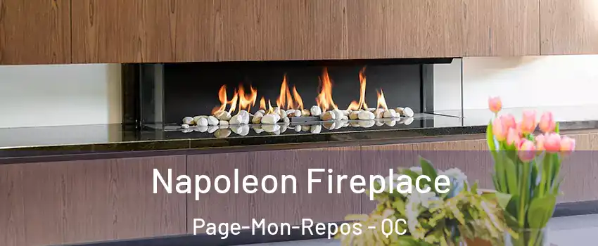 Napoleon Fireplace Page-Mon-Repos - QC