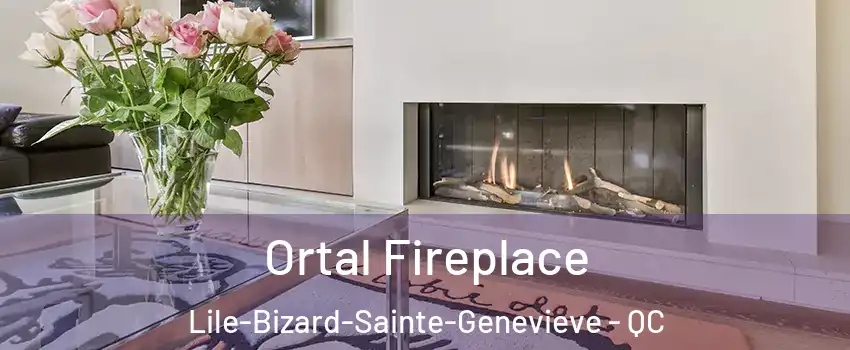 Ortal Fireplace Lile-Bizard-Sainte-Genevieve - QC